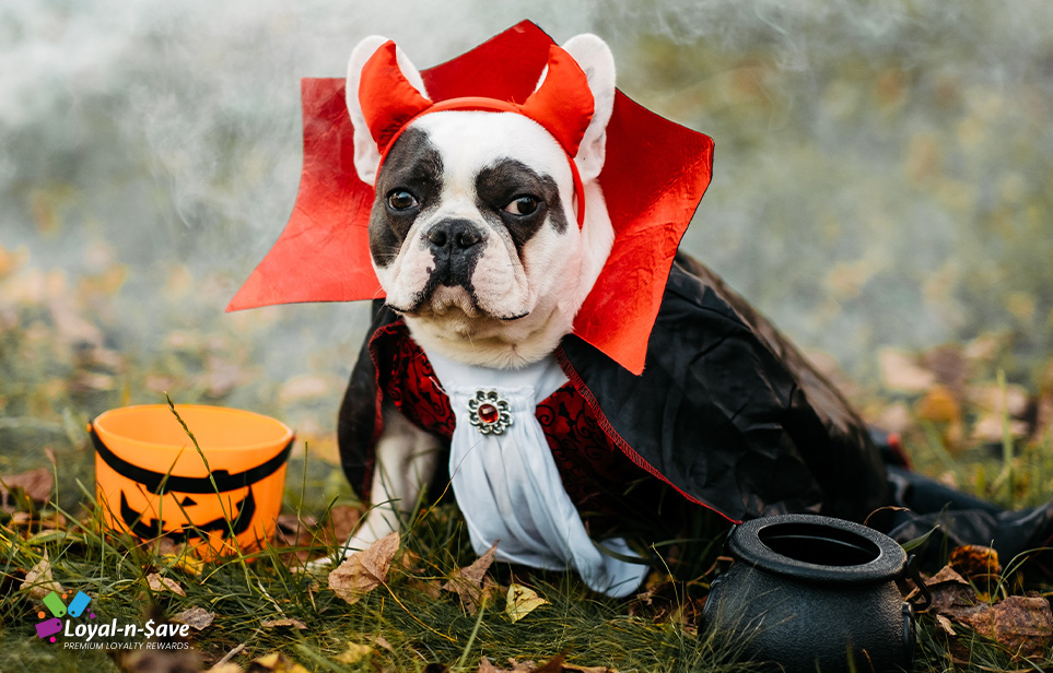 Tricks And Treats For Pet Stores On Halloween