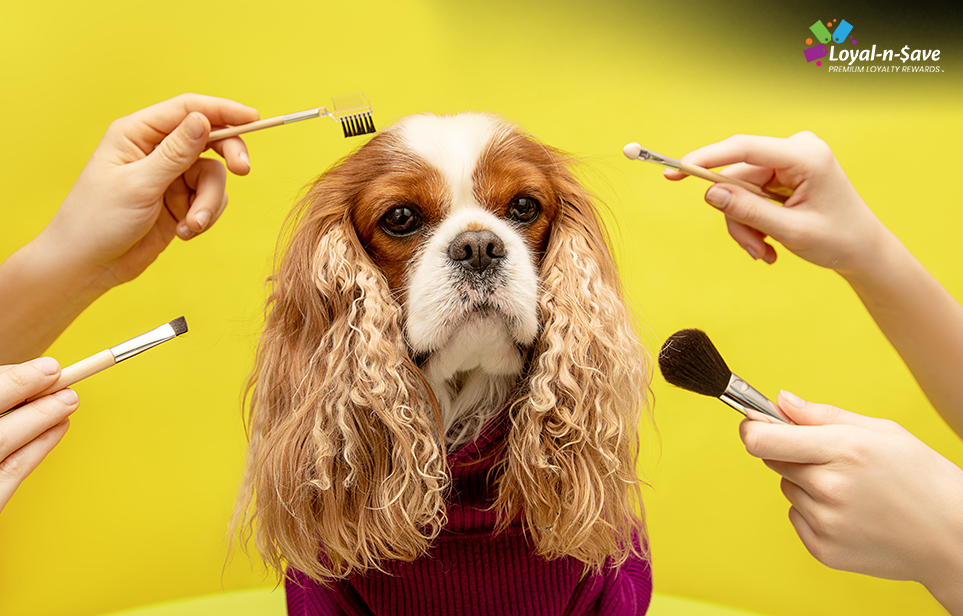 How-to-Implement-a-Loyalty-Program-in-the-Pet-Grooming-Industry